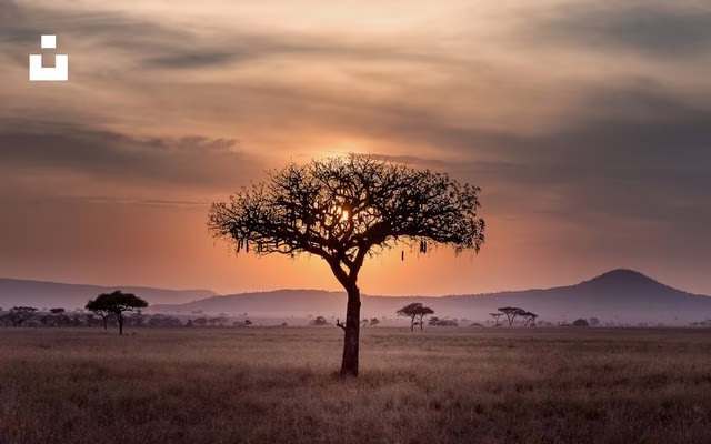 Central African Republic hiring cost guide — employer payroll taxes and employment cost overview on TalentCost