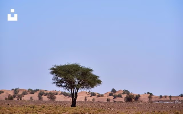 Chad hiring cost guide — employer payroll taxes and employment cost overview on TalentCost