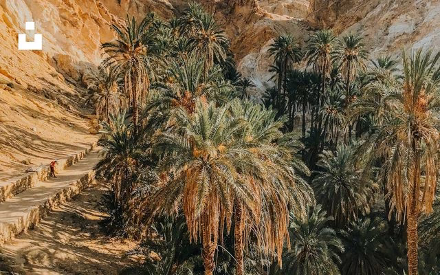 Tunisia hiring cost guide — employer payroll taxes and employment cost overview on TalentCost